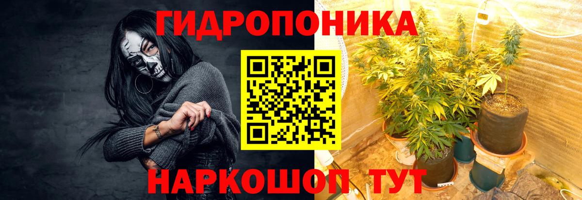 МАРИХУАНА семена Нововоронеж